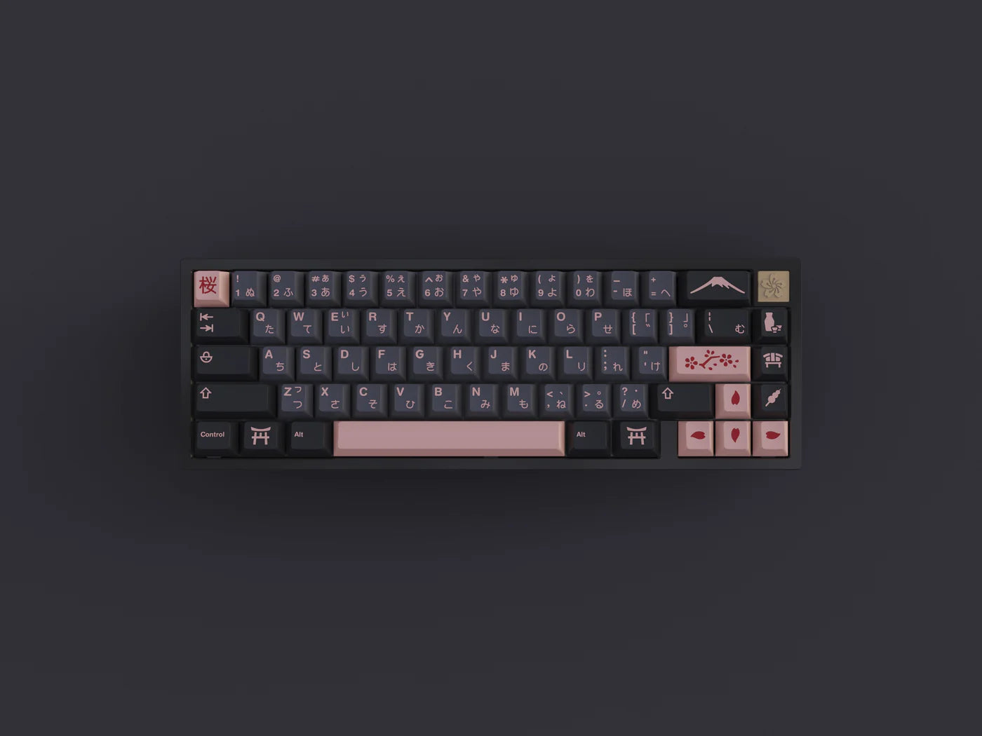 JTK Night Sakura
