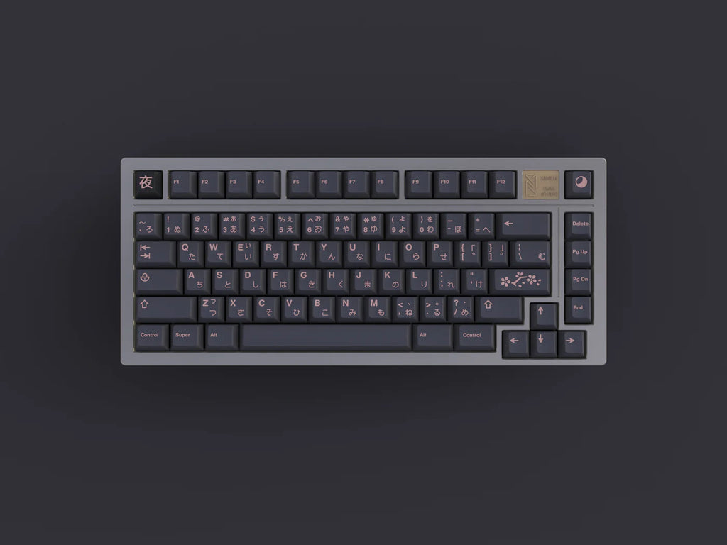 JTK Night Sakura